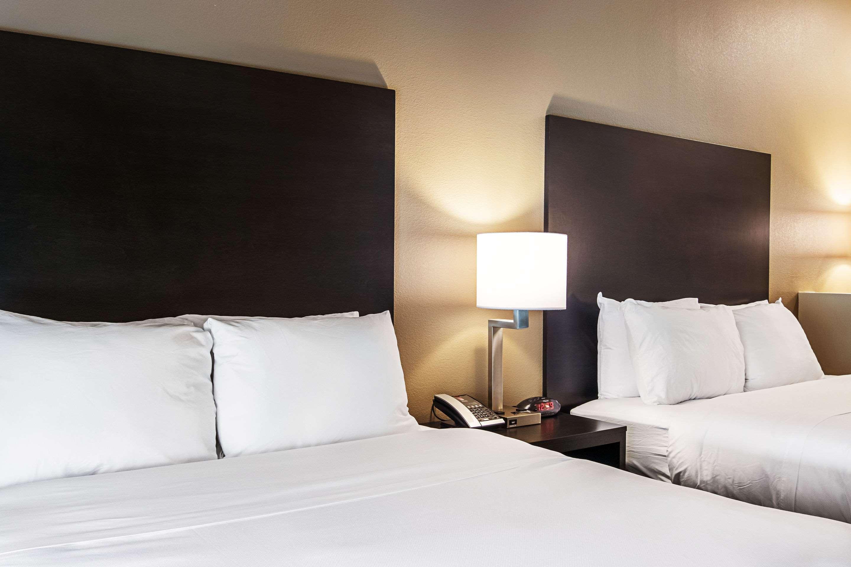 Comfort Suites Wooster Near University Campus מראה חיצוני תמונה